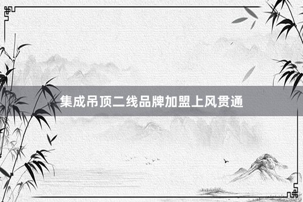 集成吊顶二线品牌加盟上风贯通